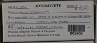 Image Associated With the Occurence